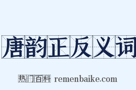 唐韵正反义词是什么意思的图片